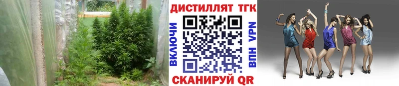 Дистиллят ТГК Wax  Суджа 