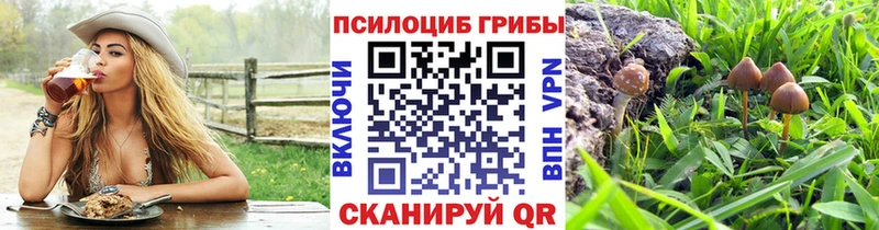 Псилоцибиновые грибы прущие грибы Суджа